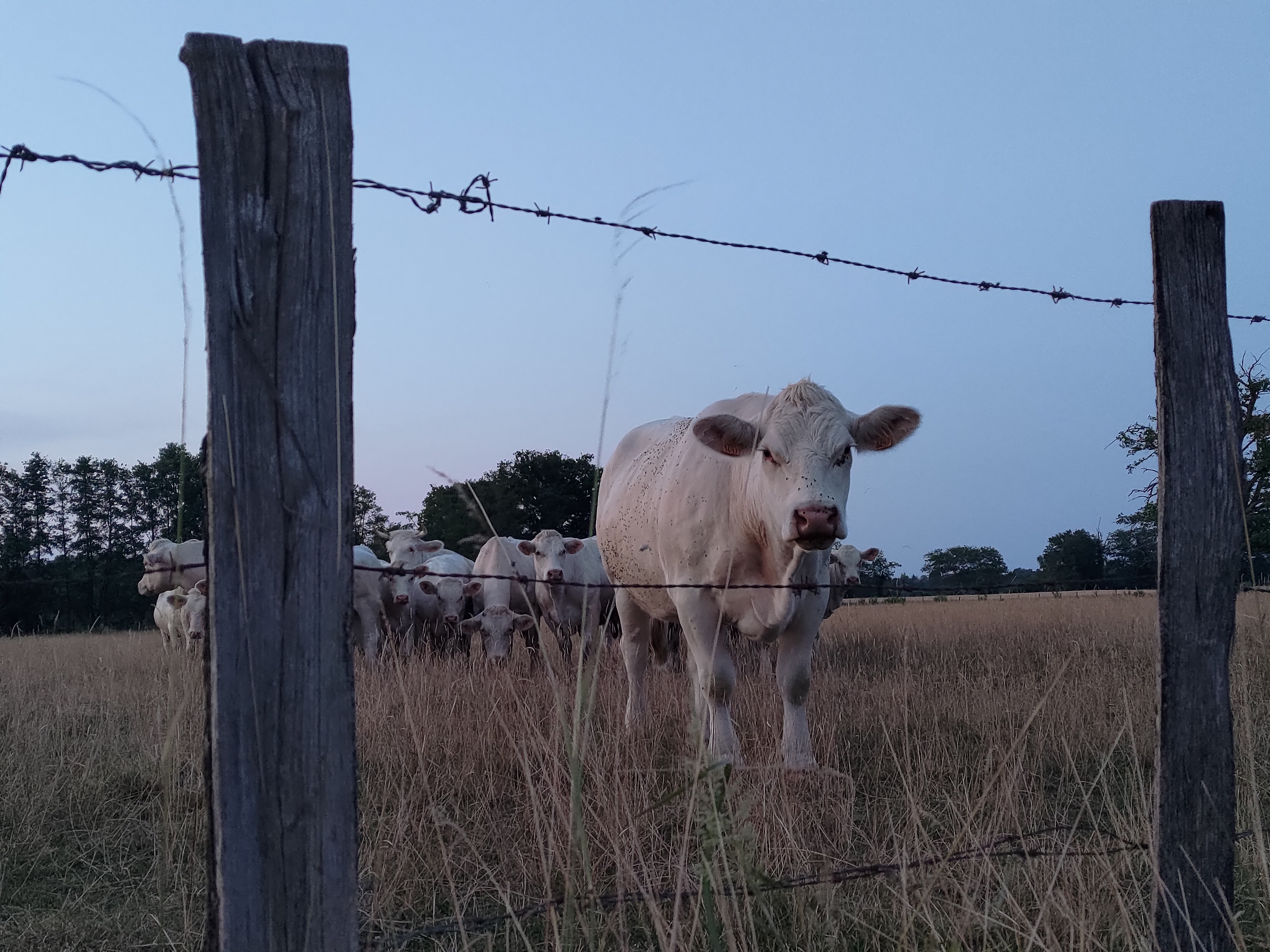 Photo n° 3 de l'avis de loic.a fait le 30/06/2022 à 21:29