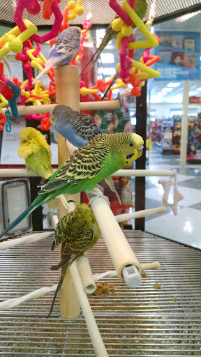 Pet Supply Store «Petco Animal Supplies», reviews and photos, 1835 E Guadalupe Rd #112, Tempe, AZ 85283, USA