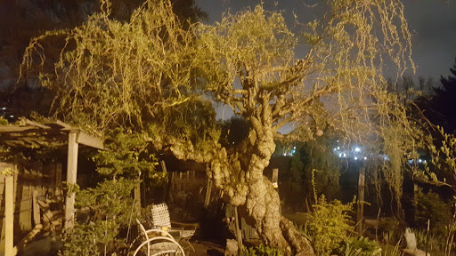 Park «Back Bay Fens», reviews and photos, 100 Park Dr, Boston, MA 02215, USA