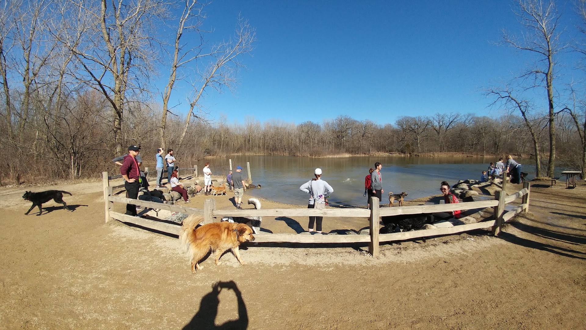 Prairie Wolf Dog Park