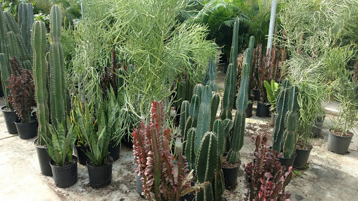 Garden Center «Blooms at Belle Mead», reviews and photos, 1980 US-206, Belle Mead, NJ 08502, USA