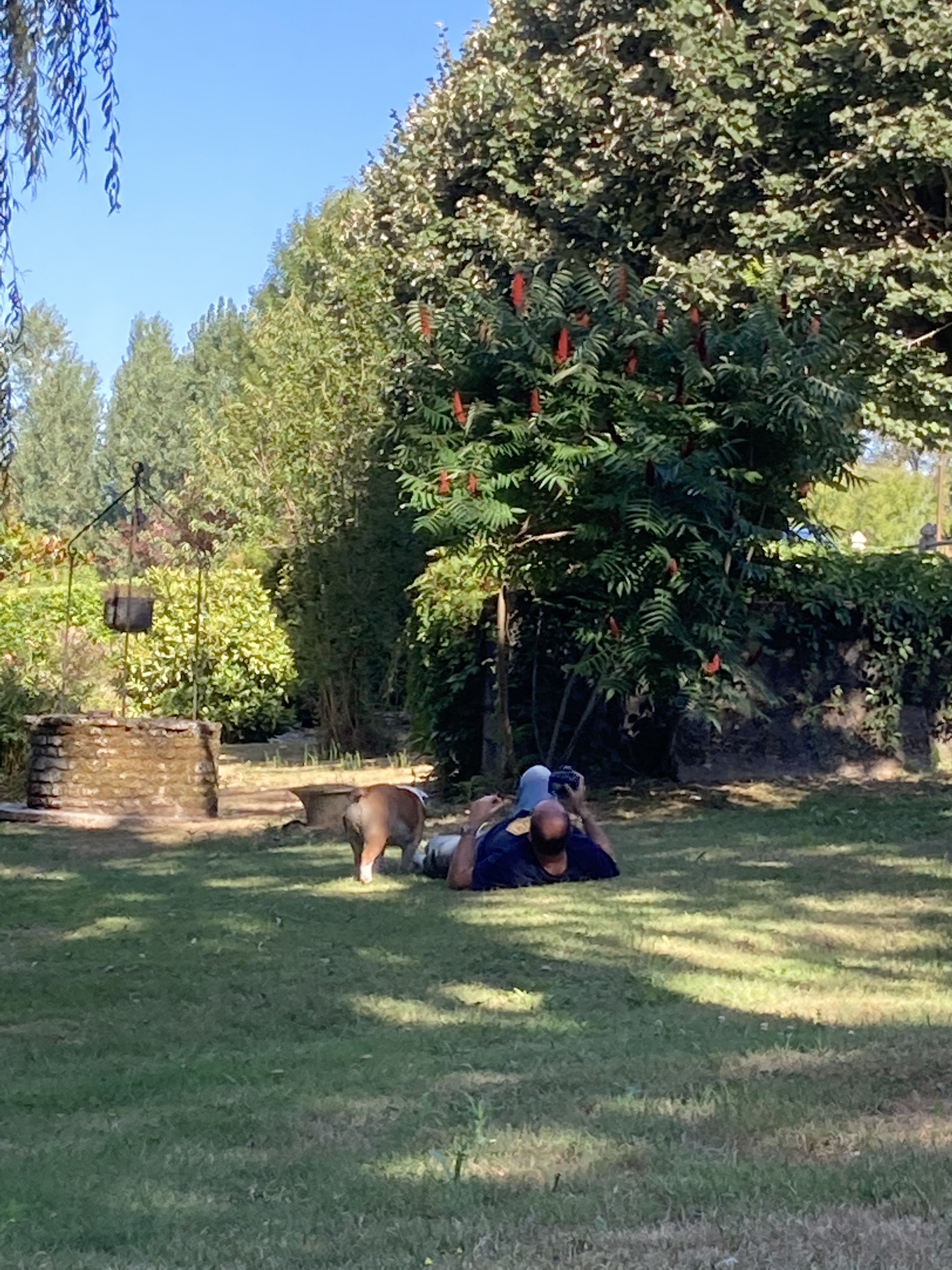 Photo n° 1 de l'avis de Anne.a fait le 09/08/2022 à 18:33