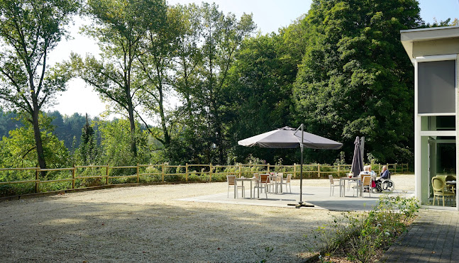 Nachtegaalstraat 211, 1501 Halle