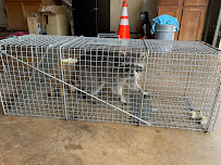 Pest G.O.A.T.S Pest Control By Willis Exterminating - Photo 6 - Car repair in Cedar Hill, TX, Arlington