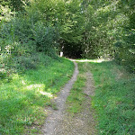 Photo n° 3 de l'avis de Aurore.U fait le 22/08/2021 à 15:45 pour Parcours de Santé à Bar-le-Duc