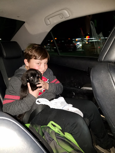 Pet Supply Store «Petco Animal Supplies», reviews and photos, 2095 N Harris Blvd, Layton, UT 84041, USA