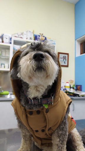 Clínica Veterinaria Valdemoro en Valdemoro