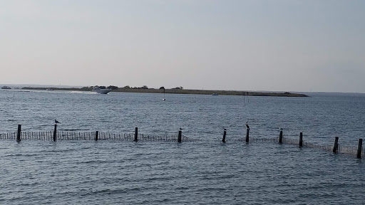 Yacht Club «Brant Beach Yacht Club», reviews and photos, 6106 Bayview Ave, Long Beach Township, NJ 08008, USA