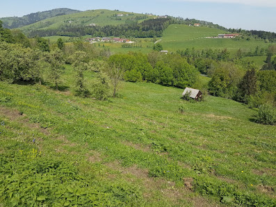 Tierparadies Schabenreith Ziehbergstaße 23, 4562 Steinbach am Ziehberg, Österreich