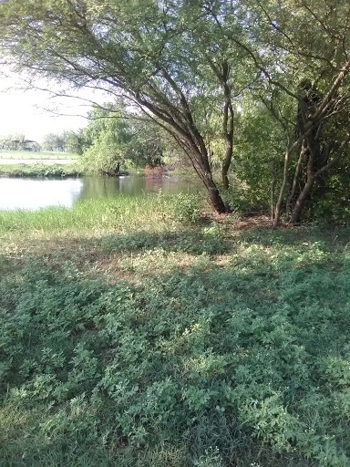 Tourist Attraction «Calaveras Lake Entrance», reviews and photos, 12965 Bernhardt Rd, San Antonio, TX 78263, USA