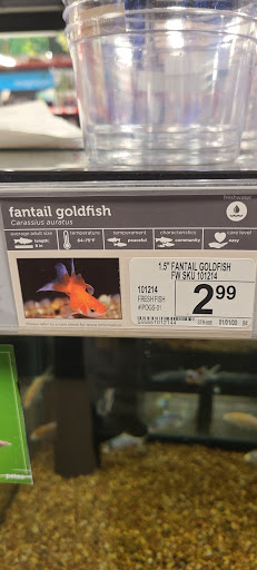 Pet Supply Store «Petco Animal Supplies», reviews and photos, 6220 95th St, Oak Lawn, IL 60453, USA