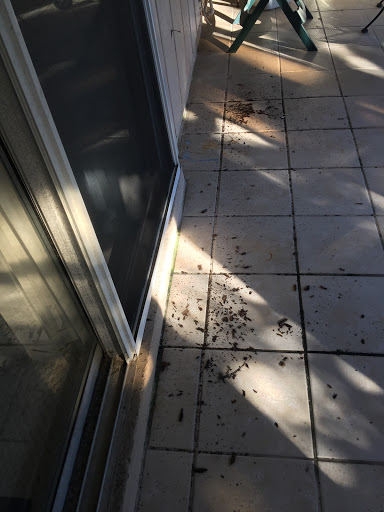 General Contractor «Fidus Roofing, Construction & Pavers», reviews and photos, 301 Kingsley Lake Dr #501, St Augustine, FL 32092, USA