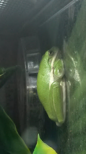 Pet Store «PetSmart», reviews and photos, 17150 Ventura Blvd, Encino, CA 91316, USA