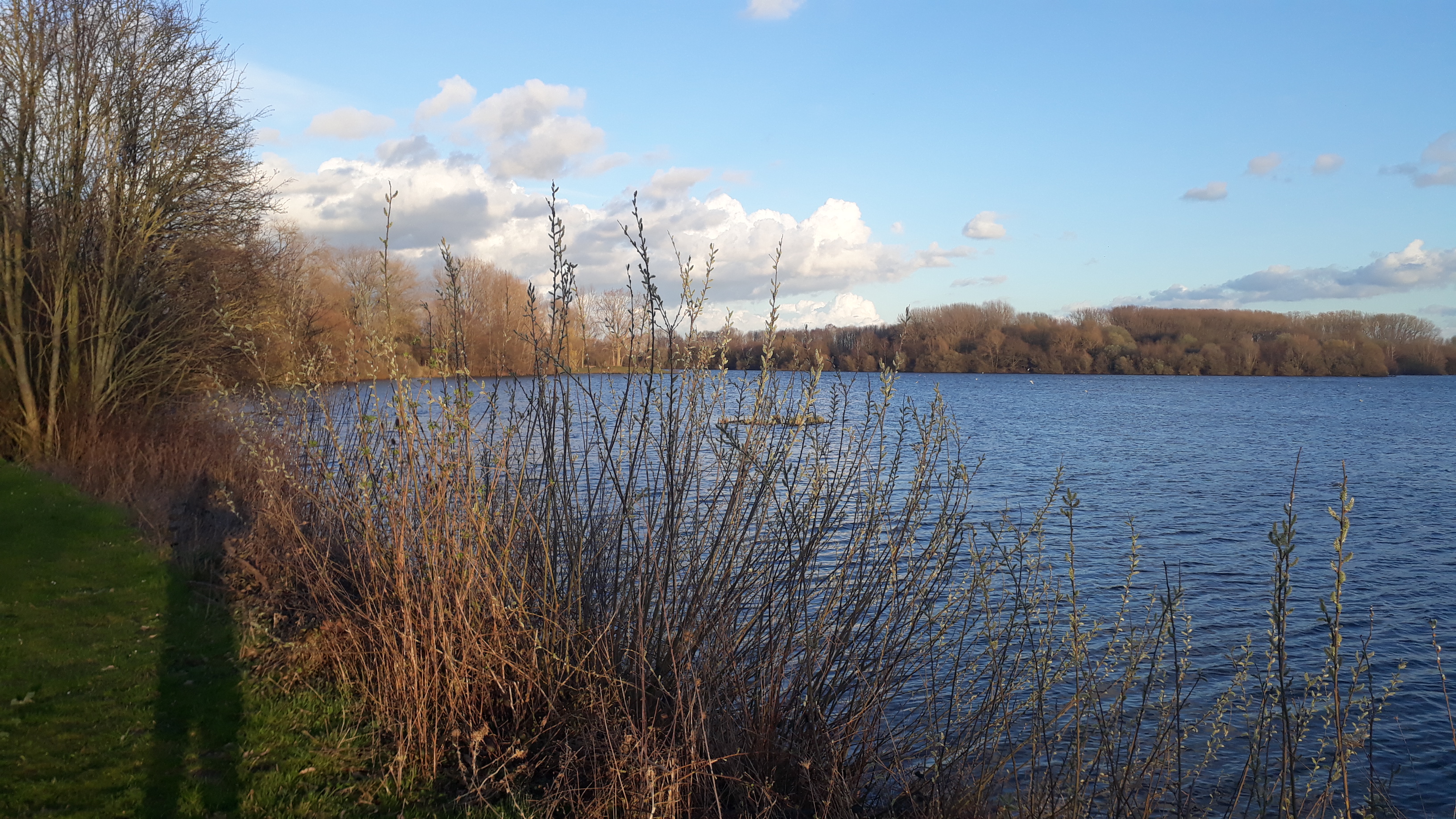 Photo n° 1 de l'avis de Grégory.A fait le 17/03/2019 à 19:25
