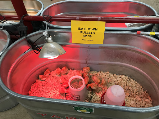 Department Store «Rural King», reviews and photos, 1000 N Main St, Marysville, OH 43040, USA