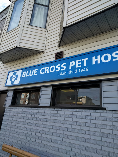 Blue Cross Pet Hospital