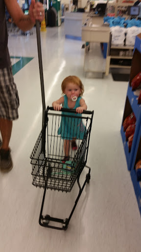 Grocery Store «Food Lion», reviews and photos, 558 W Main St, Stanley, VA 22851, USA