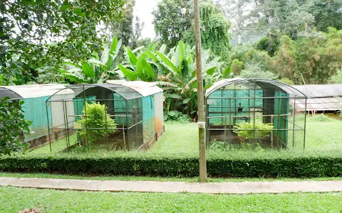 Khao Kho Wildlife breeding station image