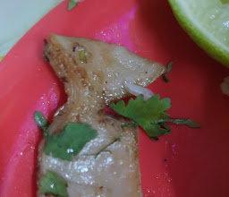 Los Foquitos de Carranza photo