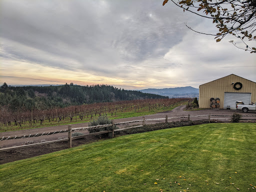 Winery «David Hill Vineyards & Winery», reviews and photos, 46350 NW David Hill Rd, Forest Grove, OR 97116, USA