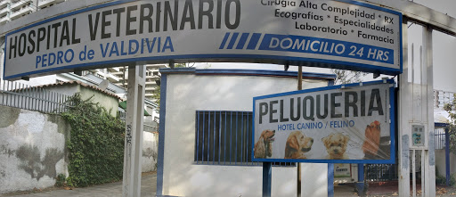 Hospital Veterinario Pedro De Valdivia