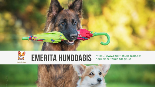 Emerita Hunddagis