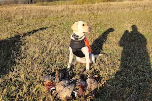 Bader's Pheasant Run image