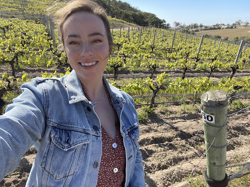Presquile Winery image
