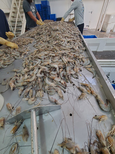 Seafood Market «Poteet Seafood Company», reviews and photos, 107 Speedy Tostensen Blvd, Brunswick, GA 31520, USA