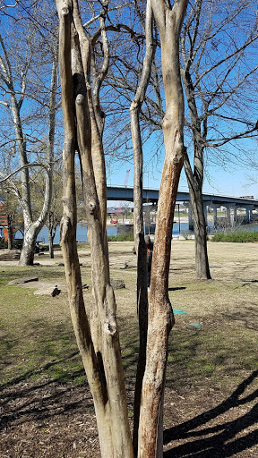 Park «Julius Breckling Riverfront Park», reviews and photos, Ottenheimer Plaza, Little Rock, AR 72201, USA