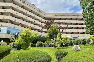 Hisar Spa Hotel image