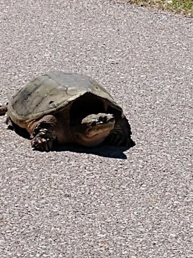 Park «Jester Park», reviews and photos, 11407 Northwest Jester Park Drive, Granger, IA 50109, USA