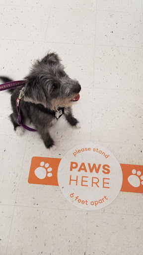 Pet Supply Store «Pet Food Express», reviews and photos, 838 Southampton Rd, Benicia, CA 94510, USA