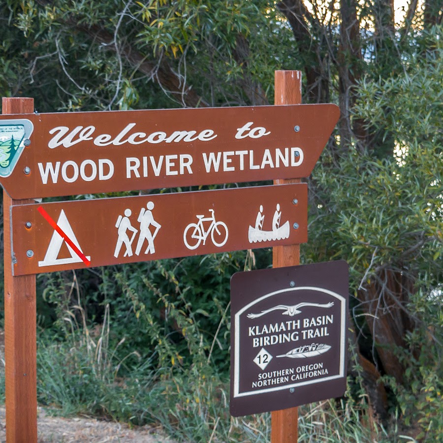 Wood River Wetland