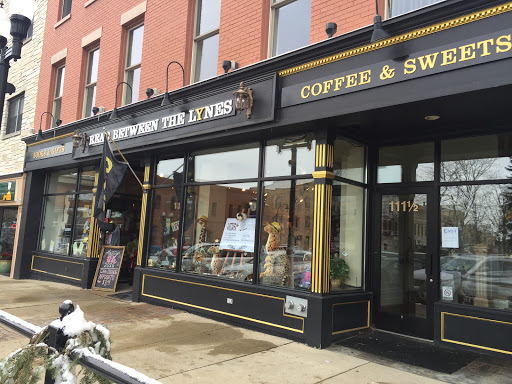 Book Store «Read Between the Lynes», reviews and photos, 111 E Van Buren St, Woodstock, IL 60098, USA
