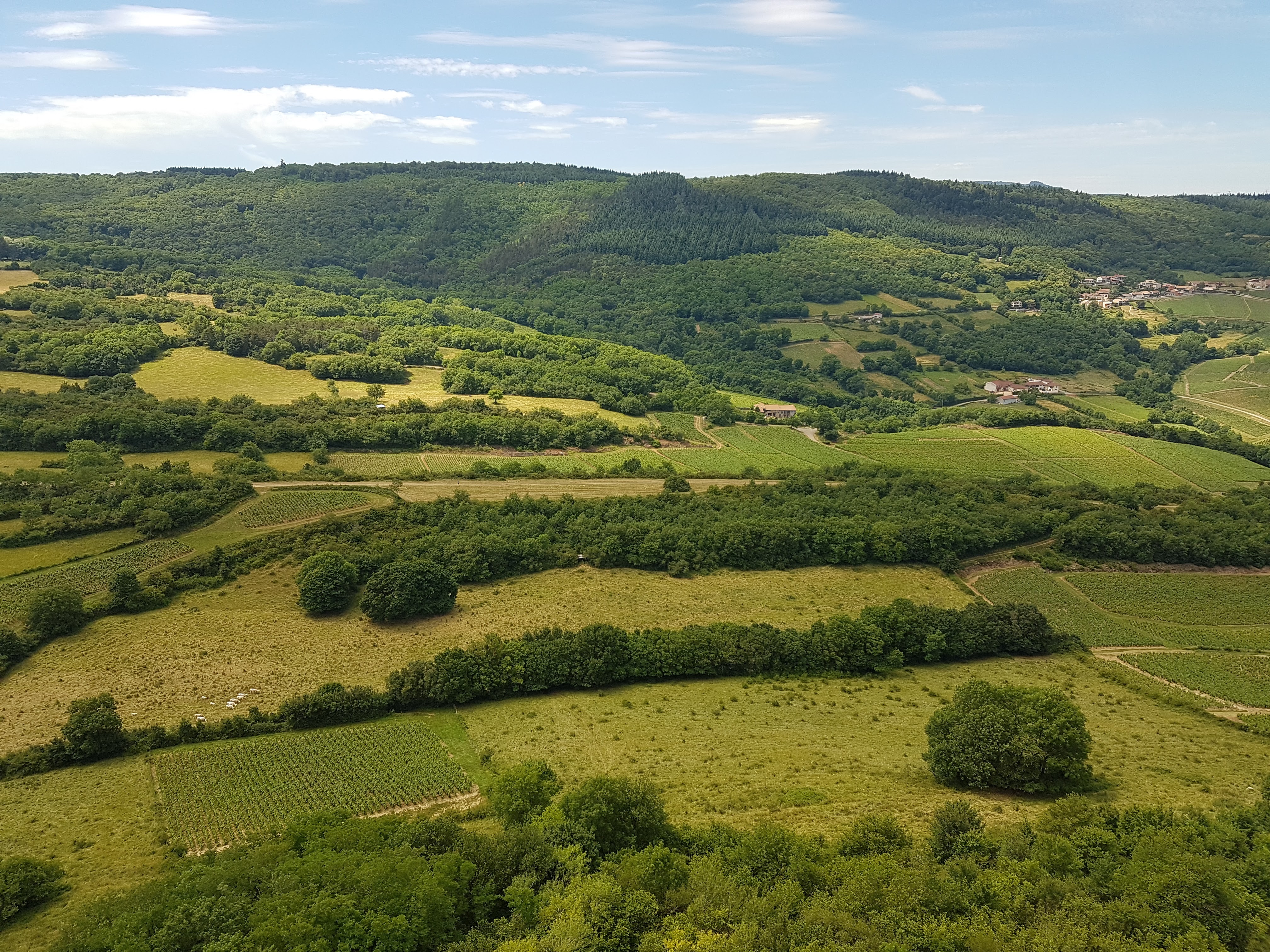 Photo n° 7 de l'avis de Yoann.o fait le 12/06/2017 à 10:14