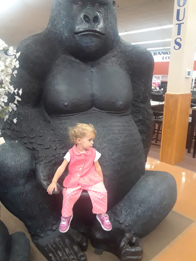 Furniture Store «Unclaimed Freight», reviews and photos, 5370 Allentown Pike, Temple, PA 19560, USA