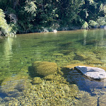 Photo n° 2 de l'avis de A.o fait le 26/09/2023 à 13:44 pour Le Camping de l'Arche - Camping 5 étoiles à Anduze à Anduze