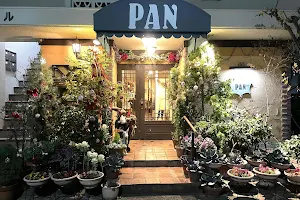PAN image