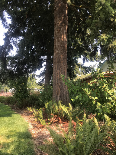 Park «Khunamokwst Park», reviews and photos, 5200 NE Alberta St, Portland, OR 97218, USA
