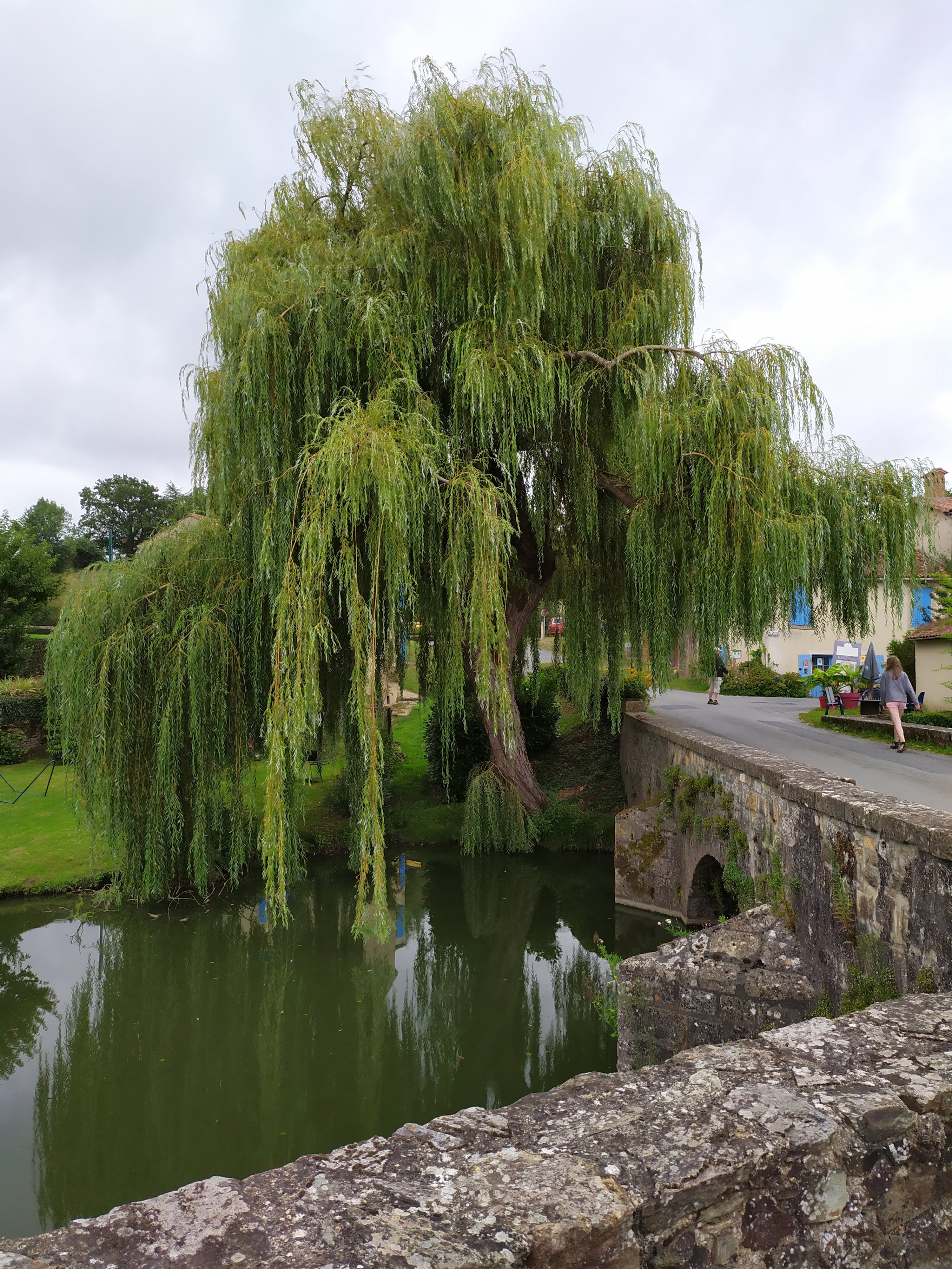 Photo n° 4 de l'avis de Cécile.F fait le 16/08/2019 à 20:01