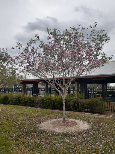 Park «Pendleton Park», reviews and photos, 1427 Morgan Blvd, Harlingen, TX 78550, USA