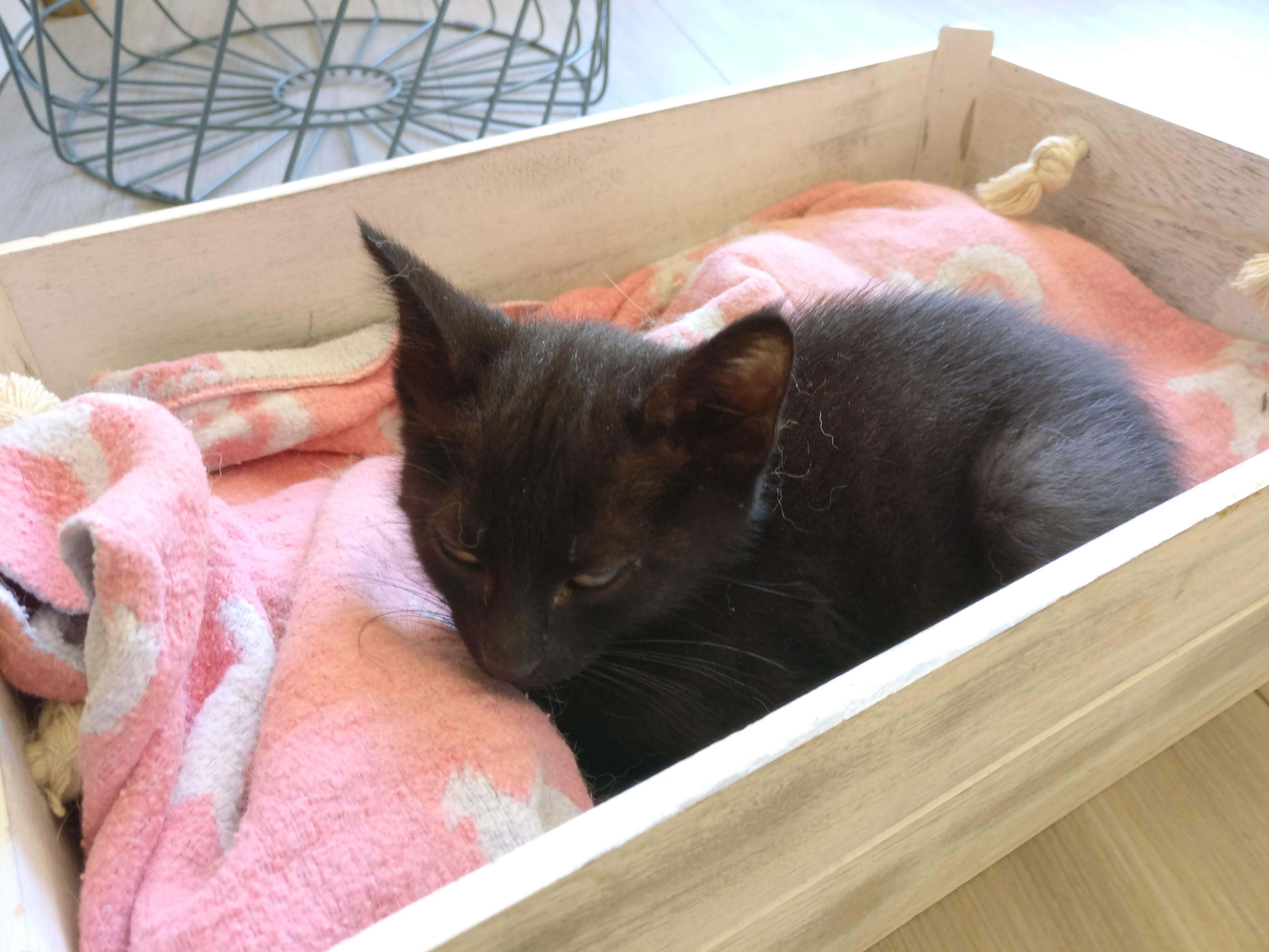 Photo n° 1 de l'avis de Pierric.E fait le 15/05/2018 à 15:27