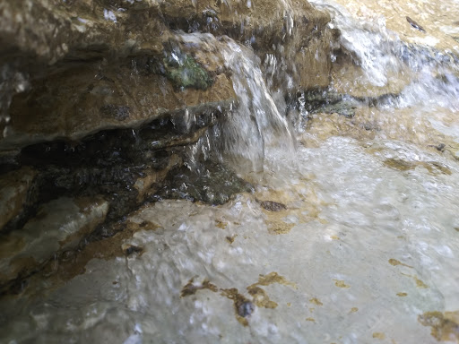 Park «Community Park - Shawnee Park», reviews and photos, 3380 Sherwood Dr, Plano, TX 75074, USA