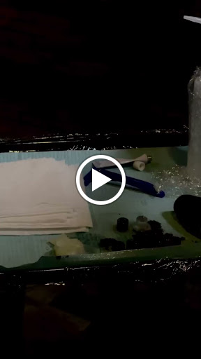 Explore self healing tattoo ideas, creative tattoo ideas in Kissimmee, available at Fallen Sparrow Tattoo Co