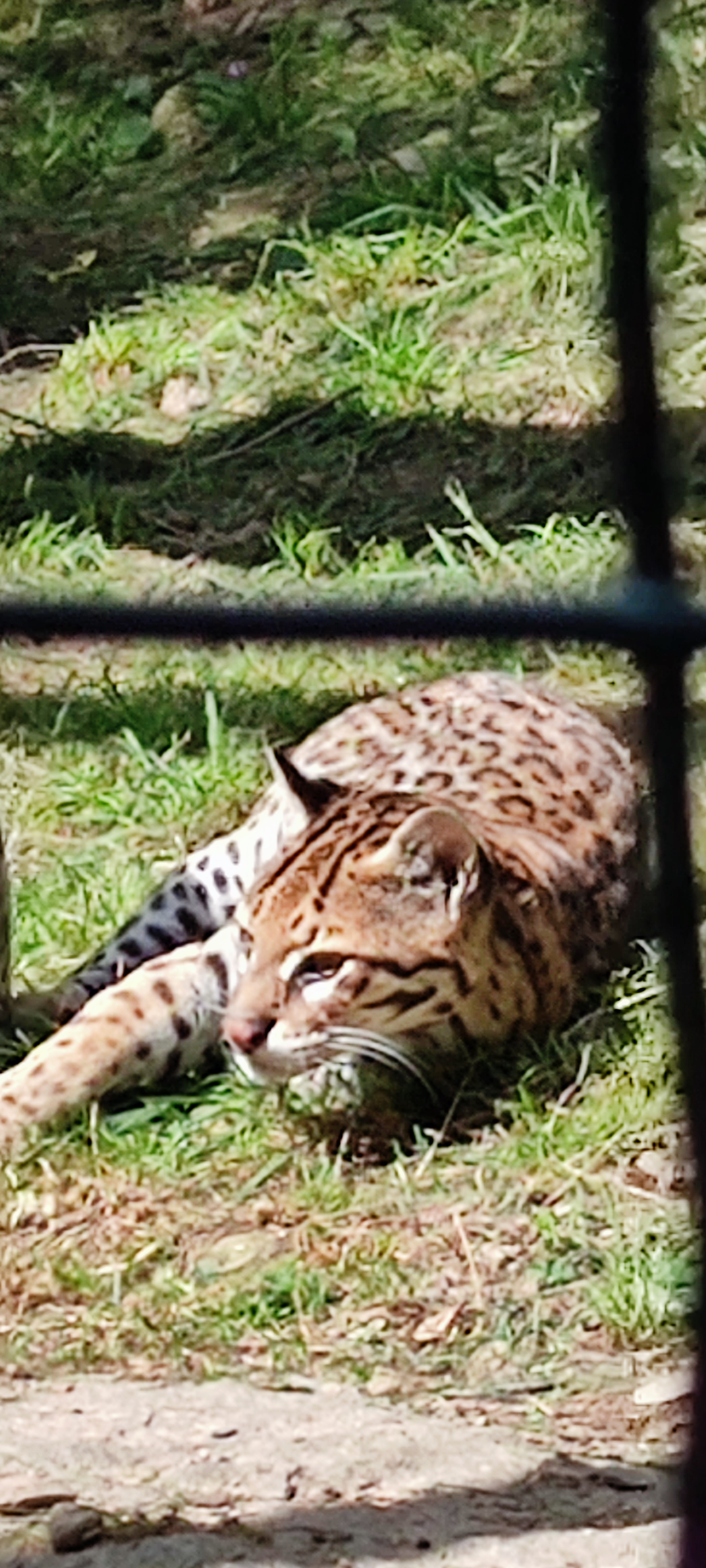 Photo n° 2 de l'avis de sandrine.e fait le 11/06/2022 à 19:03