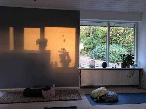 Snowdrop Yoga in Skørping, Rebild