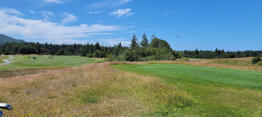 Golf Course «Bandon Crossings Golf Course», reviews and photos, 87530 Dew Valley Ln, Bandon, OR 97411, USA