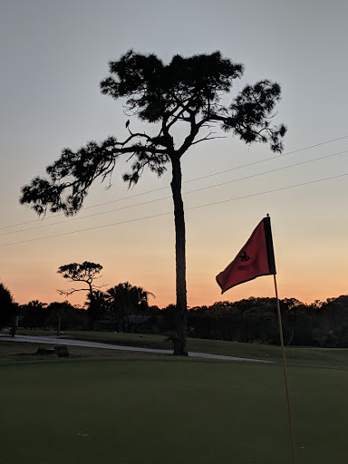 Golf Course «Tarpon Springs Golf Course», reviews and photos, 1310 S Pinellas Ave, Tarpon Springs, FL 34689, USA