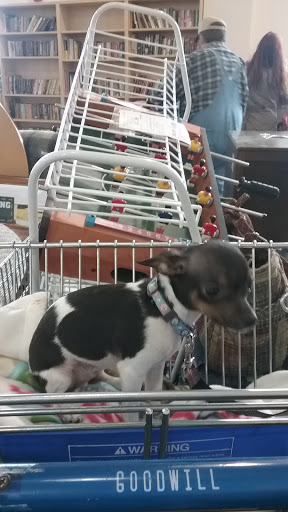 Thrift Store «Goodwill», reviews and photos
